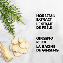 Shea Nem Kenevir Sativa Kenevir Tohumu Yağı Gül Boyu Şampuan Üniseks, 12,98 Fl Oz (1'li Paket)