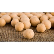 Tadacaksin Çıtır Leblebi 1 kg