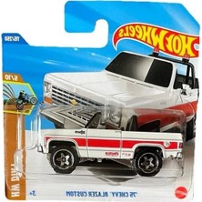 Die Grup Tekli 75 Chevy Blazer Custom Arabası, Hot Wheels Koleksiyonu Için