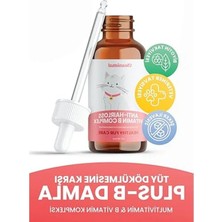 Die Grup 1.5 kg Somon Aromalı Düşük Tahıllı Kedi Maması