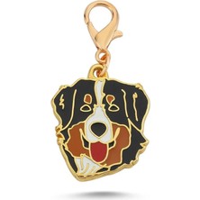 Dali's Avustralya Çoban Köpeği Altın Kaplama Mineli Tasma Aksesuarı