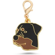 Dali's Rotweiler Altın Kaplama Mineli Tasma Aksesuarı