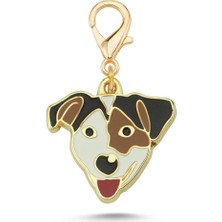 Dali's Jack Russell 3 Renk Altın Kaplama Mineli Aksesuar
