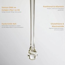 Glone Yaşlanma Karşıtı Yüz Serumu | 50ML | Somon Dna & Kolajen | Sıkılaştırıcı ve Dolgunlaştırıcı Bakım