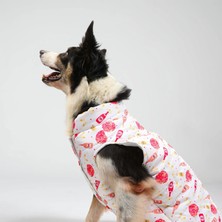 JesPawty Köpek Şişme Yeleği