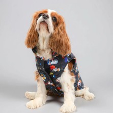 JesPawty Köpek Şişme Yeleği
