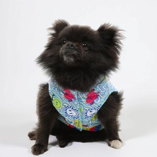 JesPawty Köpek Şişme Yeleği
