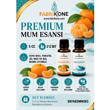 Fabrikone Premium Mum Esansı 5 cc 2'li Set - Mandalina, Okyanus - Soya Wax, Parafin, Jel Wax ve Bal Mumu Uyumlu BKFAB2MNOK5