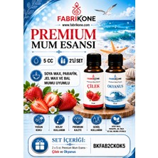 Fabrikone Premium Mum Esansı 5 cc 2'li Set - Çilek, Okyanus - Soya Wax, Parafin, Jel Wax ve Bal Mumu Uyumlu BKFAB2CKOK5