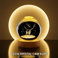 Ata Store Doğal Ahşap Standlı Geyik Figürlü Kristal Küre LED Dekoratif Lamba - Lisinya