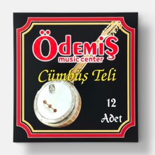 Ödemiş Cümbüş Takım Teli