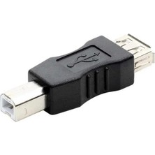 Powermaster PM-2655 USB Dişi Yazıcı Erkek Çevirici Jack