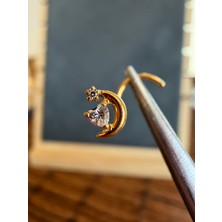Aida Jewelss Yüksek Kalite G23 Titanium Ay Kalp Zirkon 6x0.8mm Altın Titanyum Hızma Piercing