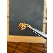 Aida Jewelss Yüksek Kalite G23 Titanium Gül 6x0.8mm Altın Titanyum Hızma Piercing