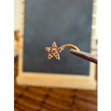 Aida Jewelss Yüksek Kalite G23 Titanium Yıldız Zirkon 6x0.8mm Altın Titanyum Hızma Piercing