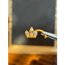 Aida Jewelss Yüksek Kalite G23 Titanium Üç Markiz Taç Zirkon 6x0.8mm Altın Titanyum Hızma Piercing