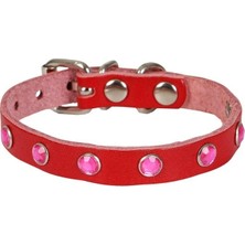 Colezium Taşlı Kedi ve Yru Köpek Tasması 1,5X29 cm Kırmızı Xlarge