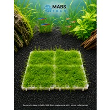 Mabs Tech Akvaryum Zemini Moss Halısı Kaplama Aparatı – Moss Teli Yerine Kullanılan 6X6 cm Modüler Moss Izgara Tepsisi