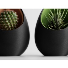 Triora Design Eggpod Yumurta Tasarımlı Dekoratif Sukulent Saksısı Modern Minimalist Kaktüs Saksısı