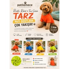 Patilemece Sarı Köpek T Shirt