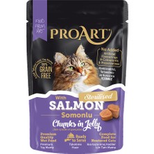 Proart Jöleli Somonlu Kısır Kedi Poşet Maması 85 gr