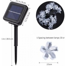 Renas Store Mey Ithalat® Solar 30 Led'li Çiçek Tasarımlı Günışığı Bahçe Aydınlatma