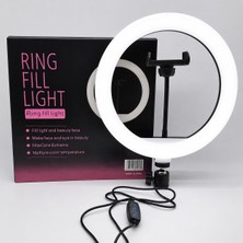 Raylax 10 Inç Ring Light Sadece Halka LED 3 Renkli Ayarlanabilir Tiktok Youtuber Işığı  Ayaksız