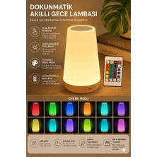 Eser Ticarett Dokunmatik LED Gece Lambası USB Şarjlı Kumandalı 13 Renk Modlu Masa Lambası