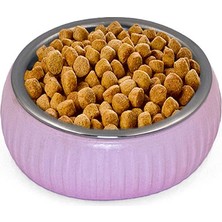 Artcrelier Mikopet Organik Seramik Mama Kabı Pembe