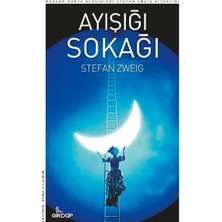 Renas Store Ayışığı Sokağı