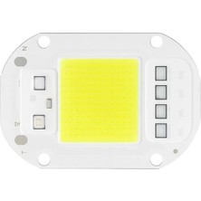 Renas Store 50 Watt Cob LED Projektörler Için