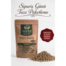 Wete Organik Bilye Kekik Top Kekik 50 gr Doğal Yoğun Aroma