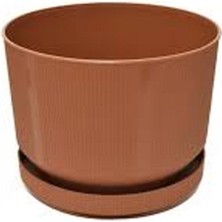 Royaleks Group 3no Saksı 6lt ROYALEKS-S283