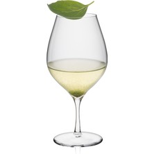 Rona Tribute Cuvée Şarap Kadehi - 340 ml - 6'lı set | Slovak İşçiliği, Avrupa Üretimi