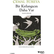 Senka Bir Kırlangıcın Daha Var