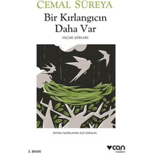 Canarino Bir Kırlangıcın Daha Var
