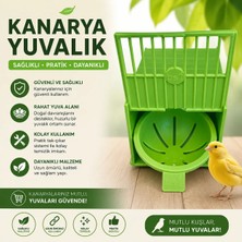 Peturunsatis Kanarya Dış Yuvalık ( Plastik Yeşil )