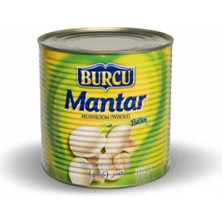 Burcu Bütün Mantar Konservesi Teneke 2600 gr