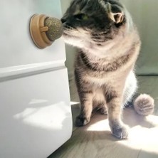 Uravas Store Mey Ithalat® Kedi Nanesi Oyun Topu
