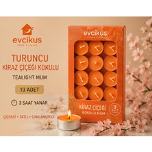 Evcikuş Kokulu Tealight Mum 10 Adet | 3 Saat Yanma Süresi | Amber, Sandal, Vanilya, Kiraz Çiçeği