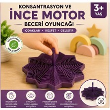Dinç Spor Konsantrasyon ve Ince Motor Beceri Oyuncağı – Katmanlı Yıldız Dizme Oyunu