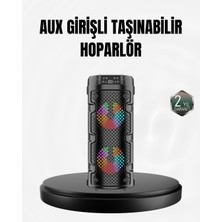 Canarino Kablosuz Stereo Hoparlör USB + Sd Kart + Aux Destekli Bluetooth 5.0 - Lisinya