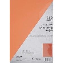 Uravas Store Umur A4 Renkli Fotokopi Kağıdı, Saffron, 250 Yaprak