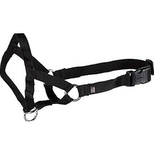 Uravas Store Trixie Uzman Köpek Eğitim Tasması L-Xl 37CM
