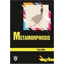Metamorphosis Stage 4