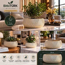 🌿✨ Bitkitürk Desenli El Yapımı Beton Saksı | 20 cm Çap | Dekoratif Bonsai, Sukulent ve Çok Amaçlı Organizer Saksı | Premium Tasarım