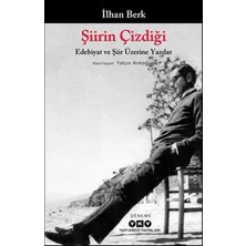 Şiirin Çizdiği - Edebiyat ve Şiir Üzerine Yazılar