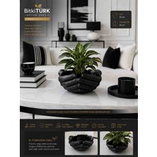 🖤🌿 Bitkitürk El Formlu Beton Saksı | 19 cm | Dekoratif Sukulent ve Iç Mekan Bitki Saksısı | Premium Tasarım | Çok Amaçlı Organizer