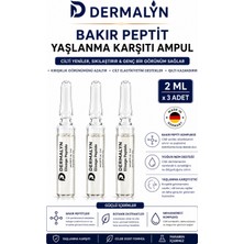 Dermalyn 3 Adet Bakır Peptit Yaşlanma Karşıtı Sıkılaştırıcı Kolajen Destekleyici Ampul Serum Dermaroller