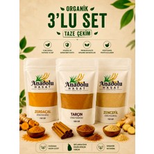 Anadolu Hasat 3'lü Set (Zerdeçal 150 gr-Zencefil 150 gr-Tarçın (Öğütülmüş) 100 gr)